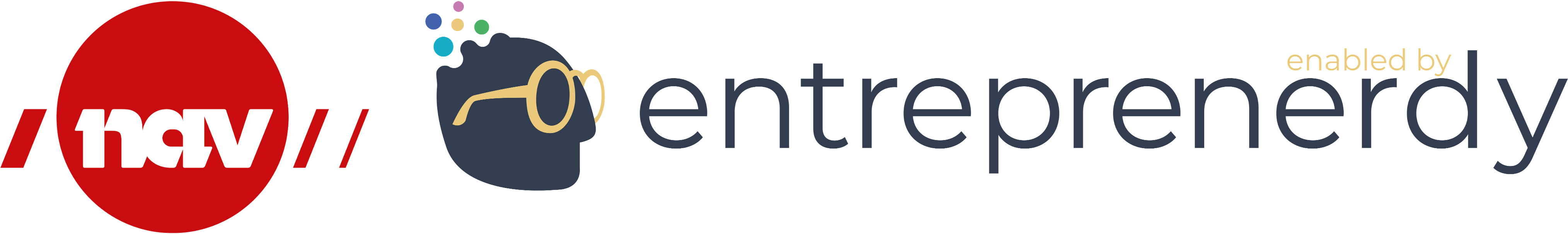 NAV+Enty logo